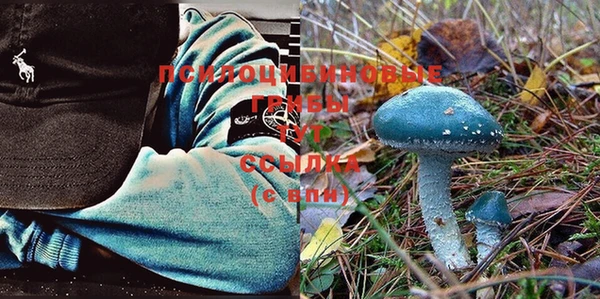 герыч Ступино