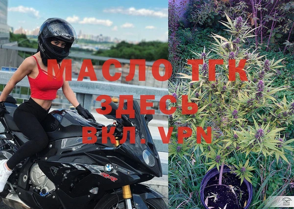PSILOCYBIN Горняк