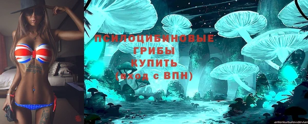 мяу мяу мука Горнозаводск
